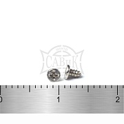 ШУРУПЫ IB С ПЛОСКОЙ ЦИЛИНДРИЧЕСКОЙ ШЛЯПОЙ С ОСТРЫМ КОНЦОМ МИКРО